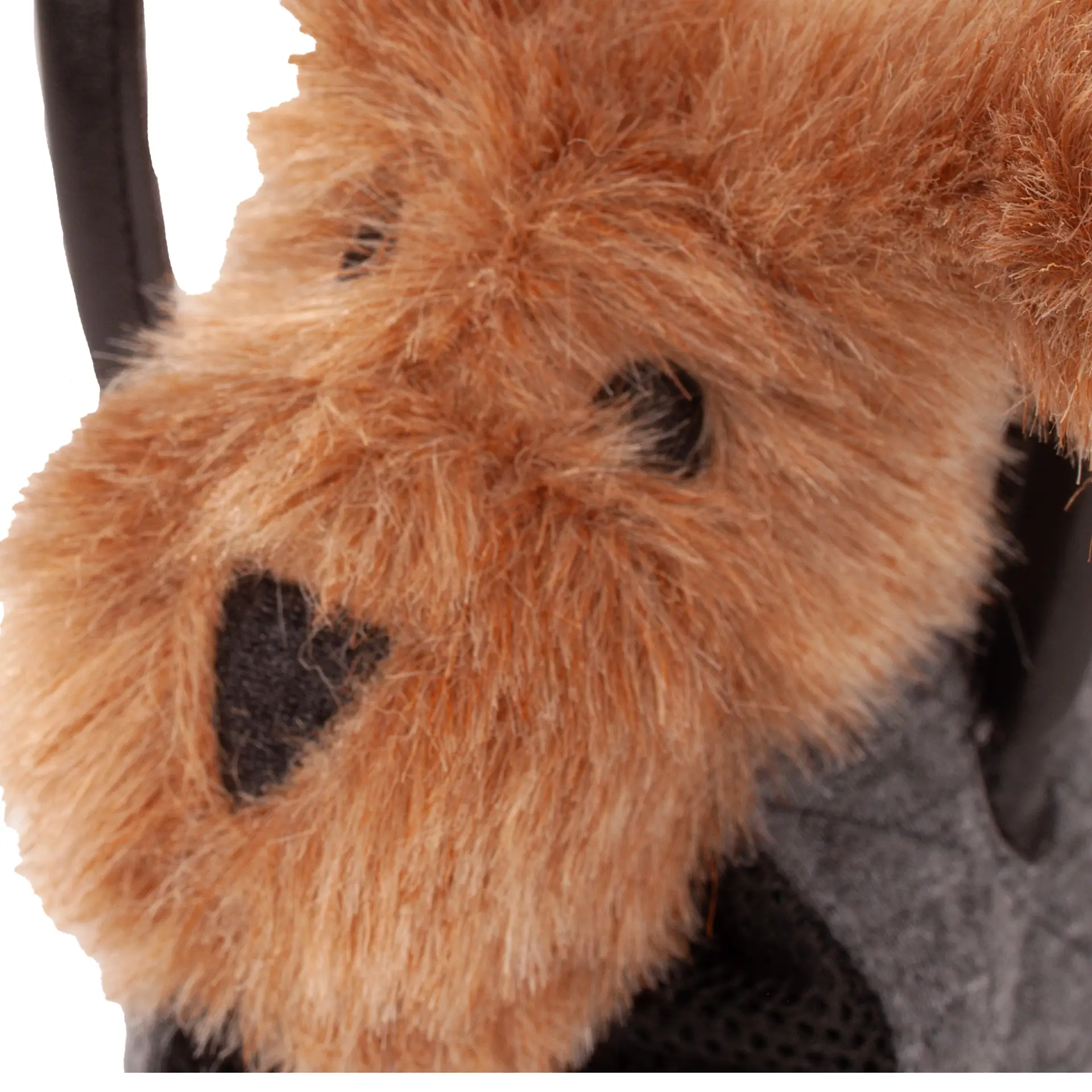 Portrait von braunfarbigem Plueschhund in einer Hundetragetasche von Goetz