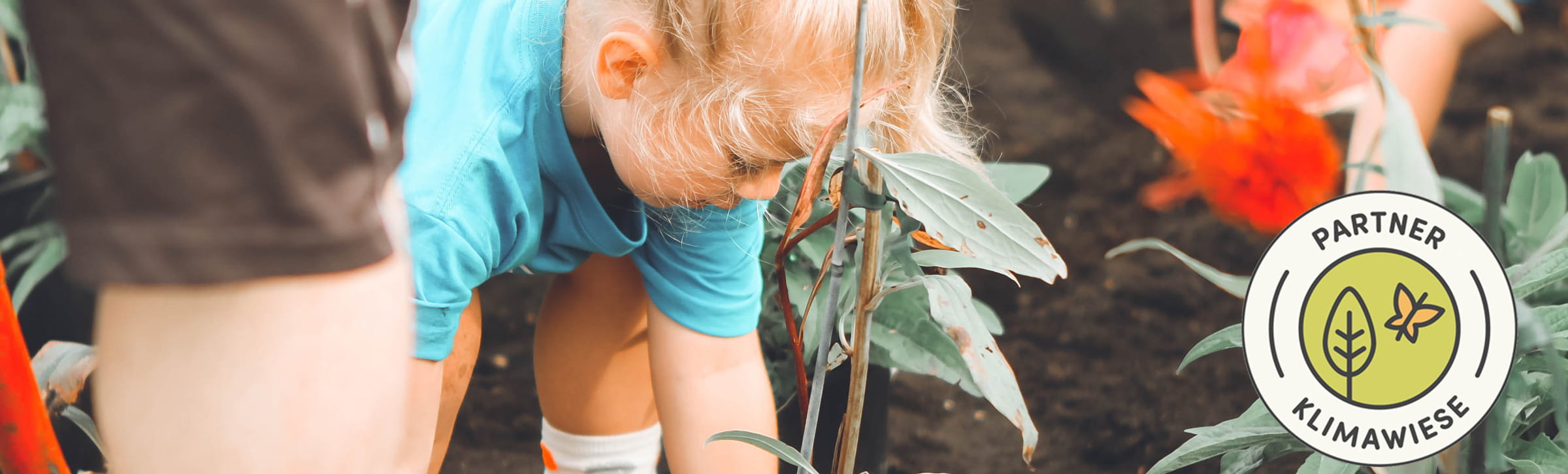 Mädchen im Garten beim Blumen pflanzen und Logo der Götz Klimawiese initative 